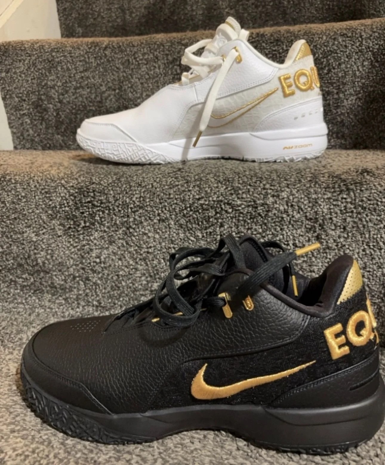 Nike Zoom Lebron Nxxt Gen Ampd Equity 2