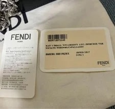 Fendi Kanis Small From Japan 3