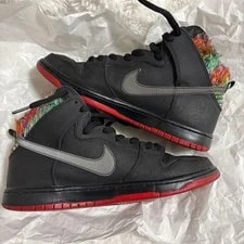 8.0US Mh371 Nike Sb Dunk Skate Park of Tampa 3