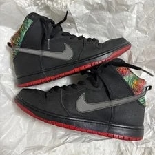 8.0US Mh371 Nike Sb Dunk Skate Park of Tampa 4