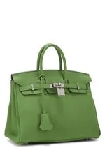 Hermès Yucca Birkin 25 2