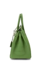 Hermès Yucca Birkin 25 3