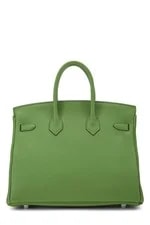 Hermès Yucca Birkin 25 4