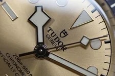 Tudor Black Bay 79733 in Steel Gold Dial Full Set - Collected £2500 4