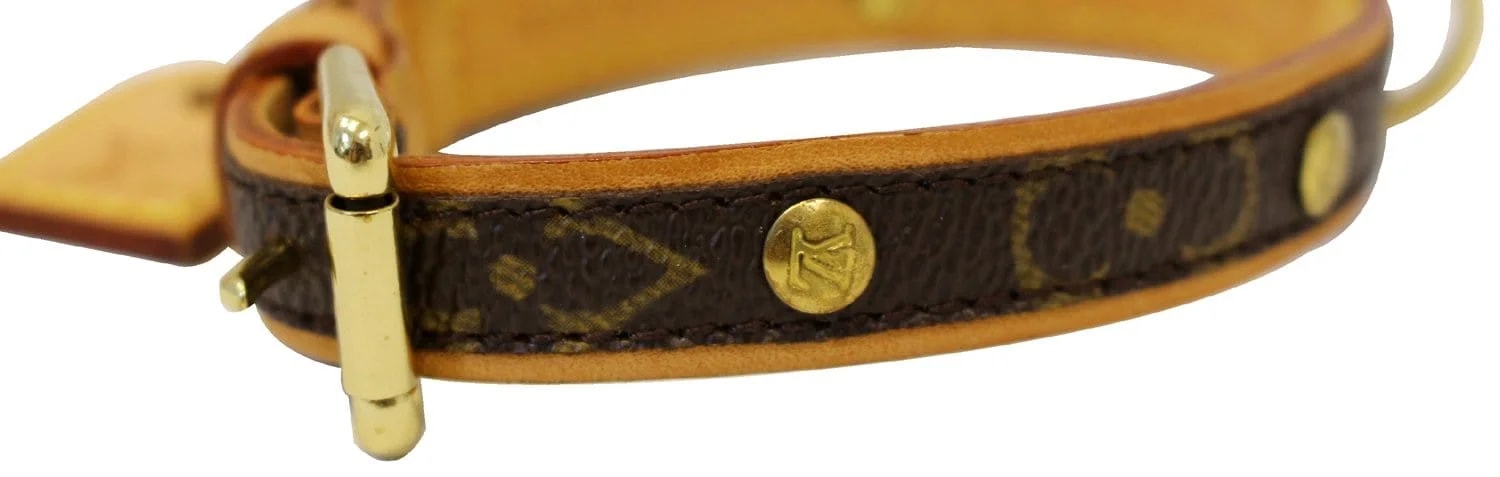 Louis Vuitton Collier Baxter 4