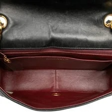 Chanel Medium Diana Flap Crossbody 4