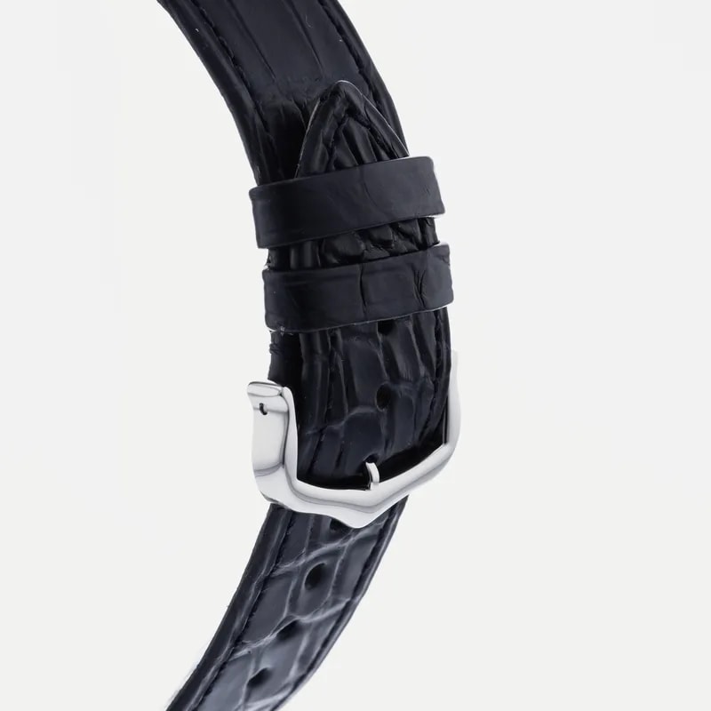 Cartier Santos Dumont XL WGSA0032 4