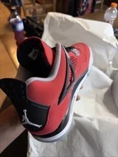Air Jordan 4 Retro Toro Bravo 2