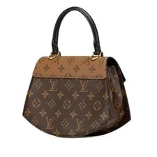 Louis Vuitton Diane M46548 2Way Crossbody 99 2