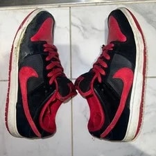10.5US Vhtf Model Nike Sb Dunk Low J-Pack Seaker Limited Collection 3
