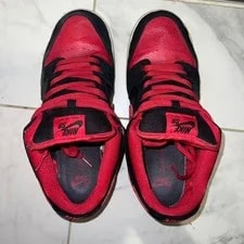 10.5US Vhtf Model Nike Sb Dunk Low J-Pack Seaker Limited Collection 4