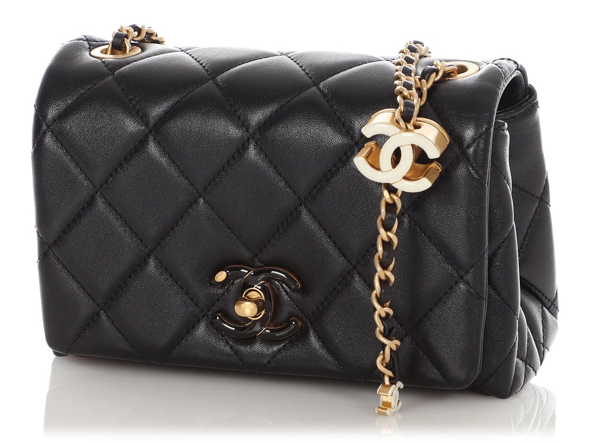 Chanel Small Seasonal Flap 3