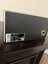 Jordan 11 Retro DMP Gratitude 4