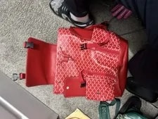 Goyard Pattern Backpack Buckle Strap Accents Lining Pockets 2