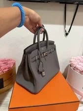 Hermès Birkin 25 Satchel Top Handle Turn Lock W/ Lock 4