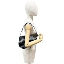 Dior Saddle and Tie-Dye Pony Hair 3