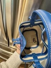 Goyard le Sac Petit Flo 3