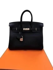 Hermes Birkin 25 With Palladium Hardware 2
