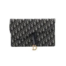 Dior Saddle 2023 Summer S5698CTZQ 152315956 [P] 2