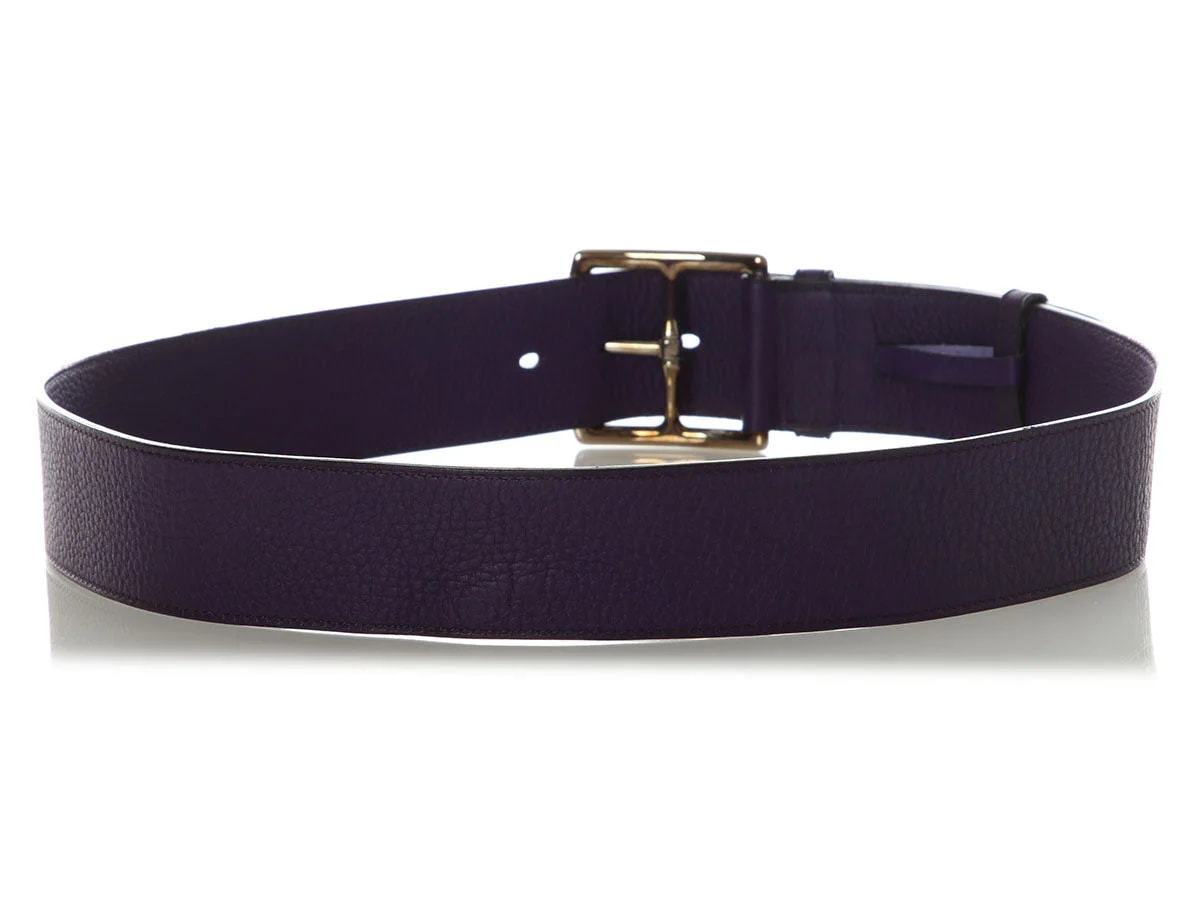 Hermès Iris Etrivière Belt 3