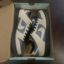 Nike SB Dunk Low Thunderstorm 2019 Size 12 Authentic Skateboarding 2