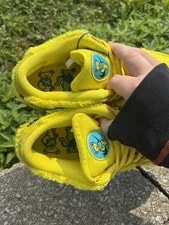 Grateful Dead Nike SB Bear 2