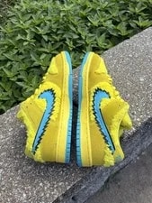 Grateful Dead Nike SB Bear 4