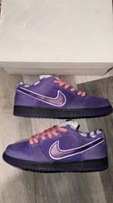Nike SB Dunk Low Lobster Size 10.5M Lightly 3