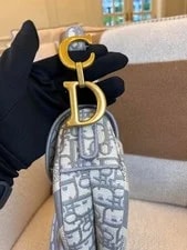 Christain Dior Mini Saddle ￼ 2