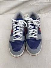 Size 11 - Nike Dunk Retro 2020 Low Samba 3