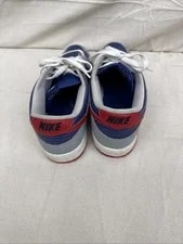 Size 11 - Nike Dunk Retro 2020 Low Samba 4