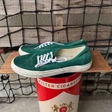 10.0US 00S Vans Authentic Chameleon All LTD Collecti 2