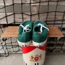 10.0US 00S Vans Authentic Chameleon All LTD Collecti 3