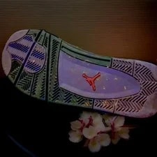 Dyanasty Jordan 4 Tetros ( Friends and Family) 3