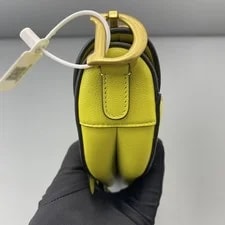 Christian Dior Mini Saddle Hardware Full Set 4