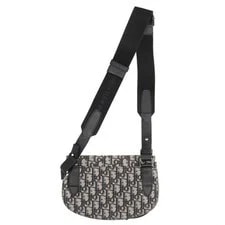 Dior Bag: Saddle / W23H15.5D3.5cm; 2