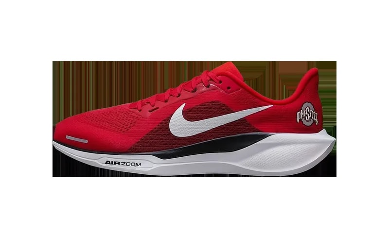Air Zoom Pegasus 41 " IB3254-600 4