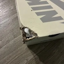 Size 5 - Nike SB Dunk Low X TightBooth 3