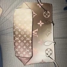Louis Vuitton Neverfull W/ Dust Card 4