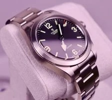 Tudor Ranger Ref. m79950-0001 Case #556 3