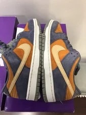 Nike SB Dunk Low Pro Light Monarch HF3063-002 Size 9 2024 4