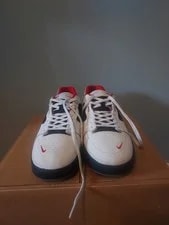 Nike SB Ishod Wair 2