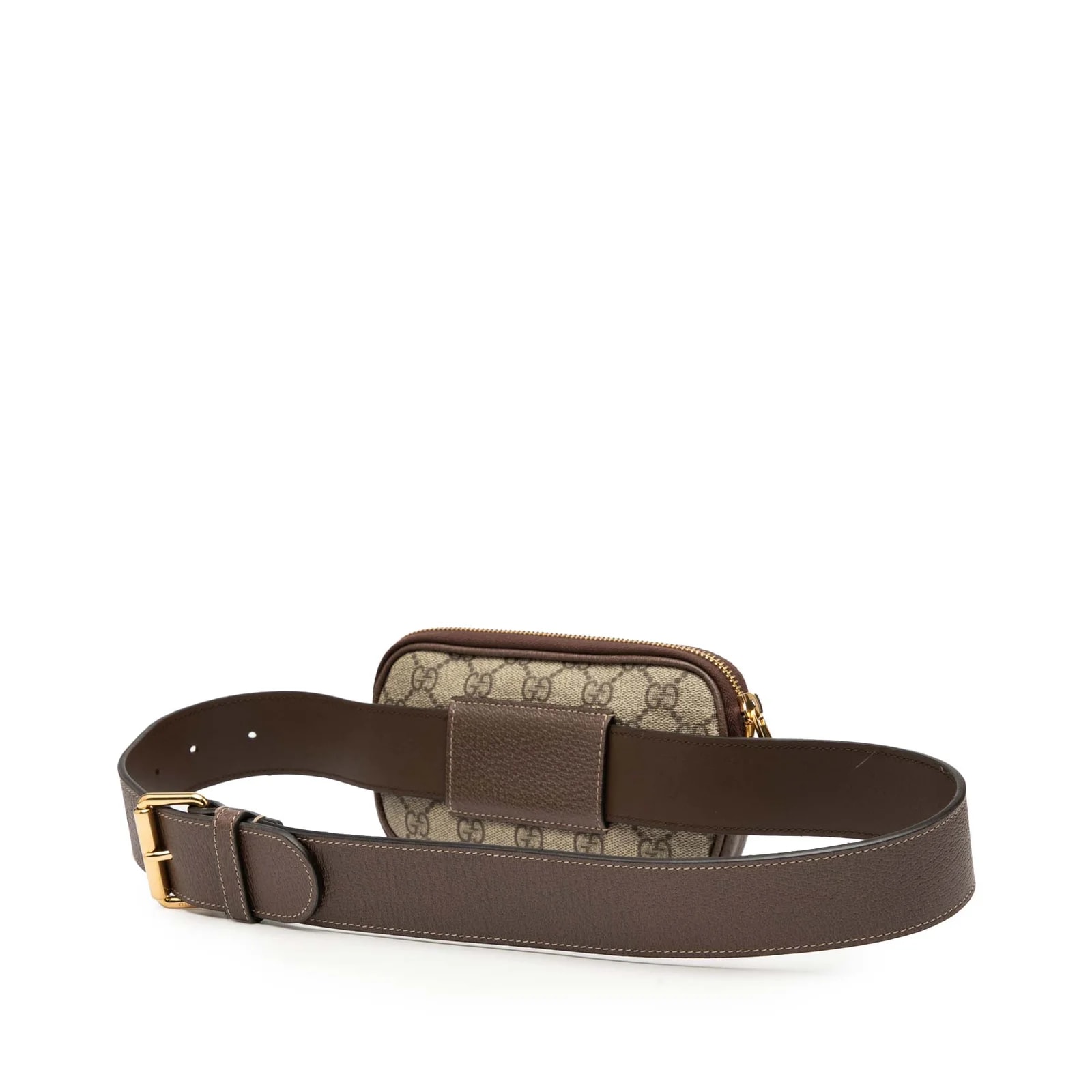 Small Web Ophidia Belt 2