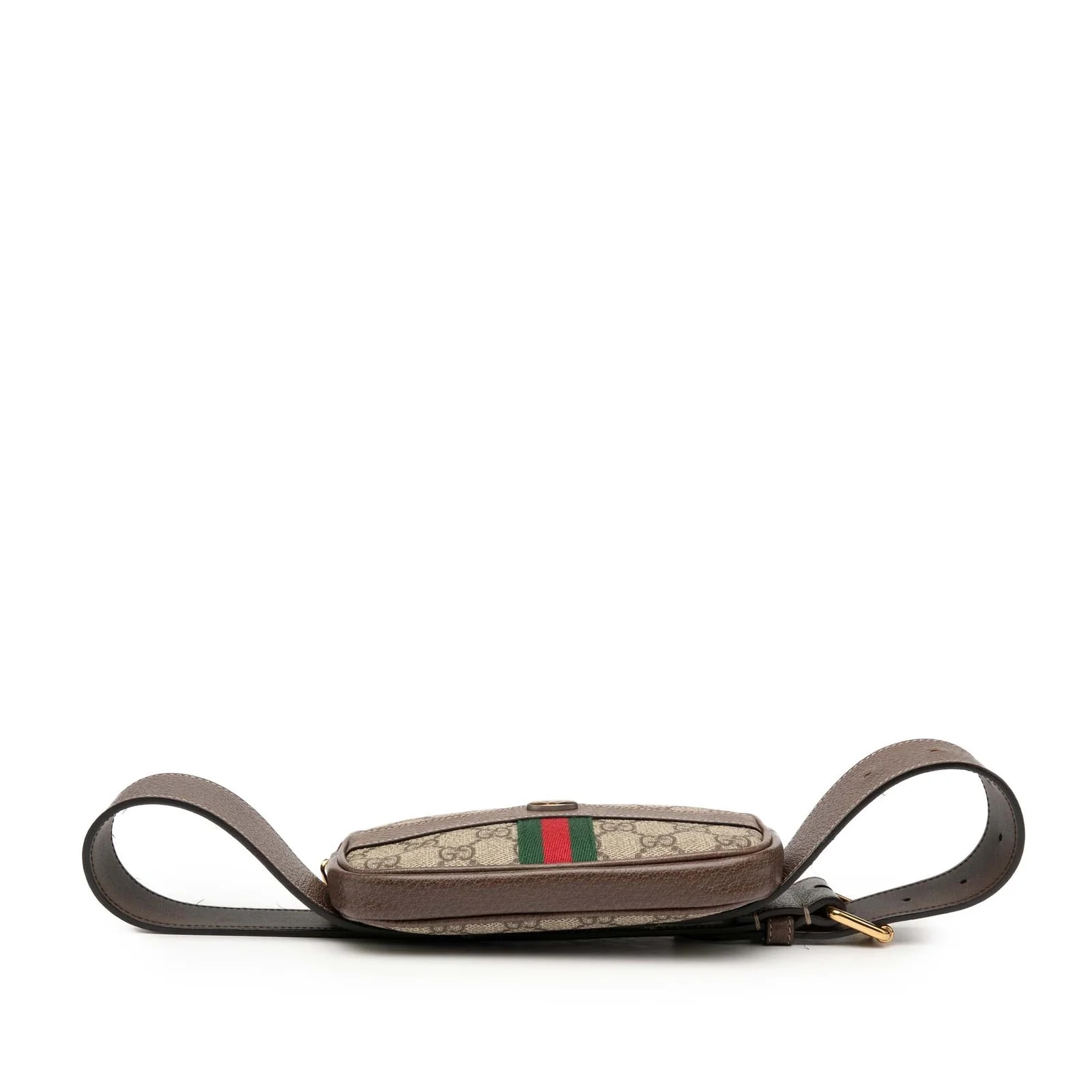 Small Web Ophidia Belt 3