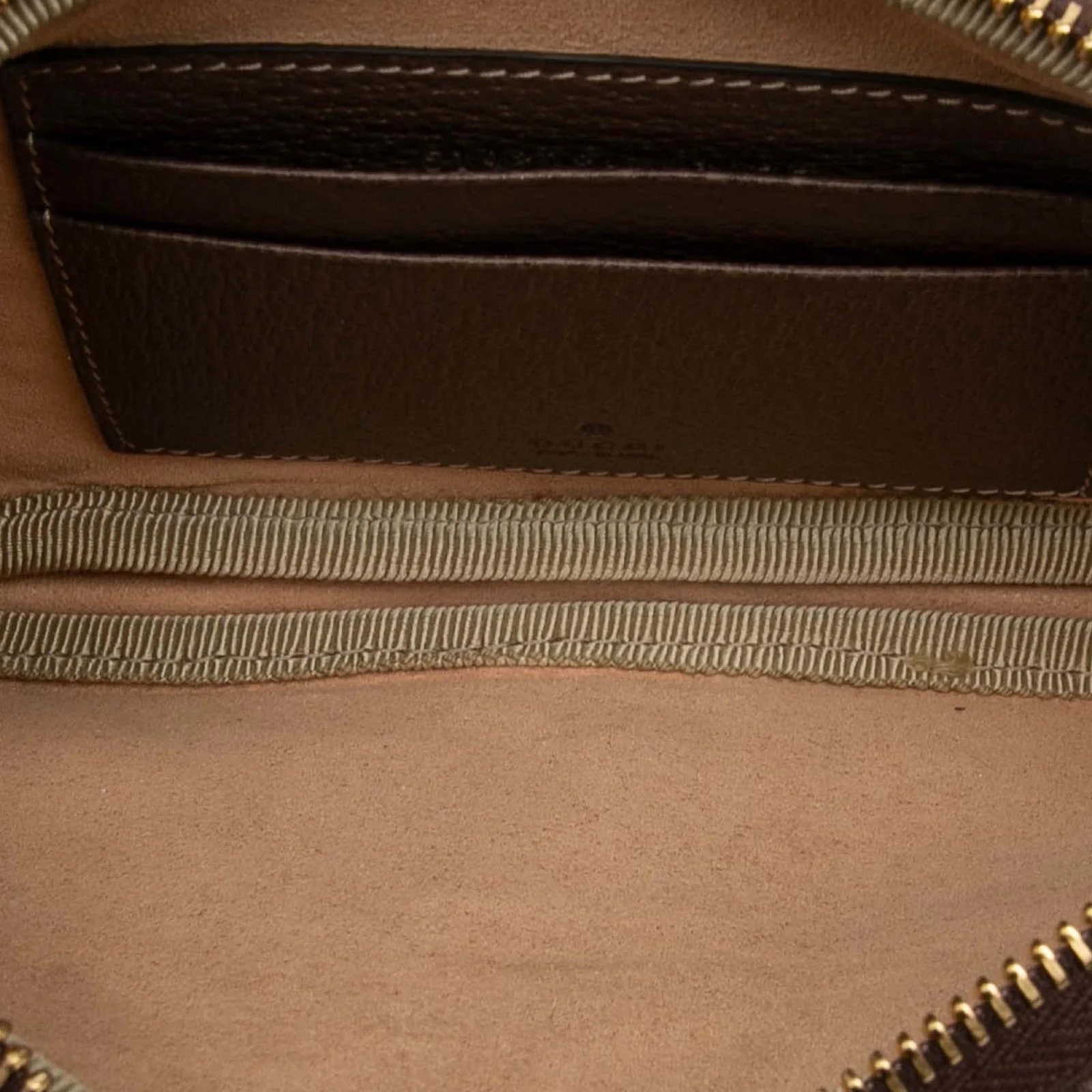 Small Web Ophidia Belt 4