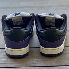 Nike SB Dunk Low Court 4