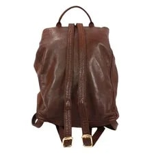 Bottega Veneta Backpack Daypack 3