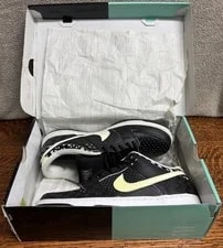 Nike SB — Nike SB Dunk Low QS BHM 2015 History Month Size 10.5 Box New — Sneaker — resale