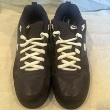 Nike SB Paul Rodriguez Zoom Air Low Size 12 Prod Dunk High Jrod 2 4