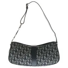 Dior Trotter Logo Saddle Ha 2